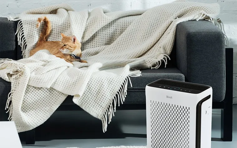 Levoit Vital 100S-P air purifier styled in a home bedroom setting