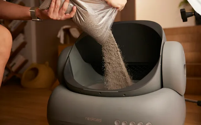 Clean, tidy litter box area in a modern home