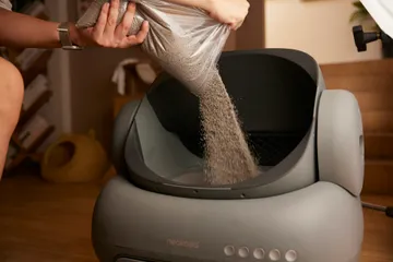 Clean, tidy litter box area in a modern home